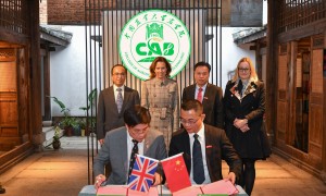 新疆提升骆驼饲养饲料源头工厂用户力荐