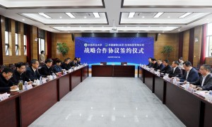 新疆口碑不错的新疆骆驼养殖专业公司客户口碑力荐