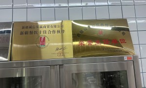 新疆诚信双赢商贸整体实力好不好
