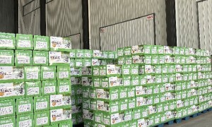 保定市找做三十余款膨化单品兼做猫耳酥的源头供货公司推荐