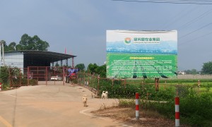 2026年食材供应链公司推荐哪放心，这些服务商值得关注
