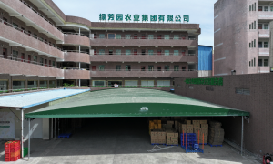 海南教育系统食材配送公司正规的推荐：绿芳园农业集团，从田间到校园的安心之选