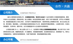 温州本地讯灵AI授权代理，小得网络助力中小企业快速上线智能文档处理系统