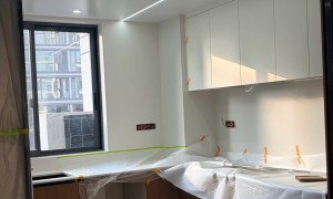 新余市法狮龙集成吊顶铝扣板资深厂商发展现状与市场占有率分析