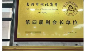 嘉兴狮舞龙舟抗起球针织衫靠谱吗