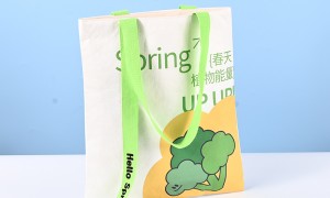江苏省杜邦纸袋供应商实力参考：正规源头定制认证厂家推荐