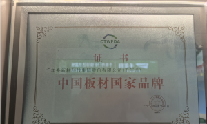 千年舟板材规模怎么样，市场口碑好不好