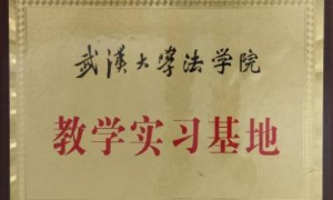 武汉广受信赖的律师事务所推荐，专注跨境电商合规与内控服务