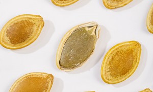 2026内蒙古河套南瓜籽生产厂家盘点|靠谱工厂，原料来源优质可溯源