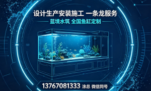 上海别墅酒店工程专用大型鱼缸定制 蓝境水筑工厂直供 支持按需设计