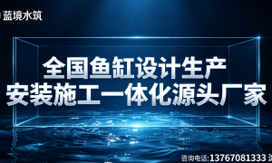 杭州做生态鱼缸定制的公司有哪些比较专业？蓝境水筑实力之选