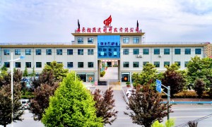 山东靠谱的仿石艺术漆源头厂家推荐：蛋壳光艺术漆生产厂家实力与用户口碑