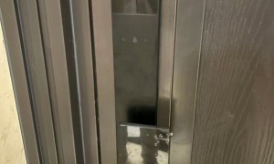 乐清智能门锁靠谱商家怎么选？行业现状与正规服务商选择指南