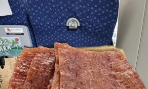龍華肉脯蜜汁猪肉脯250g便携装 潮汕南澳岛旅游手信 送礼体面的肉干特产