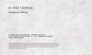 湖南饰面板花色丰富的品牌怎么判断？丽诺格浅色系与意式极简搭配指南