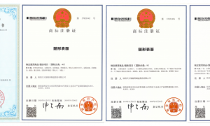 西安做掘进机租赁的企业哪家型号全，口碑高的公司推荐，2026年用户力荐