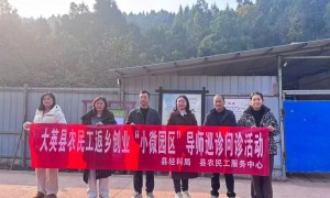 重庆logo设计公司怎么选，实力与用户口碑参考