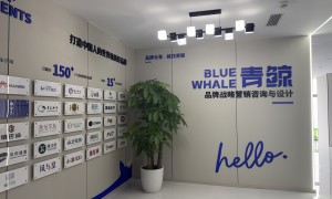 初创品牌做vi设计有推荐的公司吗，青鲸文化实力参考