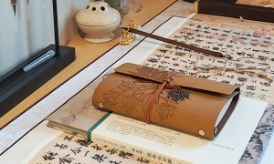国投健康医养产业发展公司深度解析：养老机构消防安全管理标准与实践