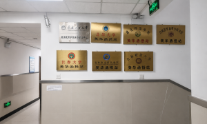 2026年成人高考高起专/专升本辅导，英华教育长春校区教学点与报名入口