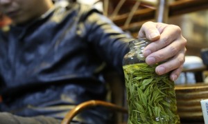 安吉正宗高山白茶哪家好，口碑与实力并存的供应商汇总