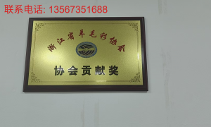 羽绒服男装源头厂，90白鸭绒高蓬松度充绒量