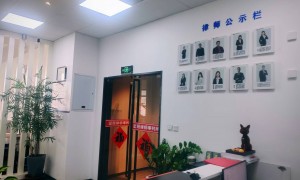 2026年天津靠谱的保险律师咨询机构推荐，专业辩护服务口碑汇总