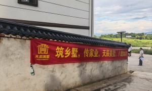 湖北天辰美墅：乡村别墅全屋承建服务商，广受信赖不踩坑