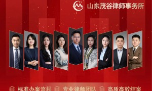 山东茂谷律所各类欠款处理服务专业吗