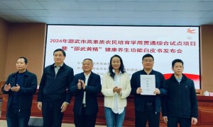 福州市黄精产地对比分析，广受信赖的供应商力荐