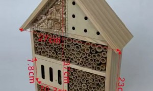 菏泽市定制木制鸟窝生产厂哪家技术强？用料扎实的厂家推荐