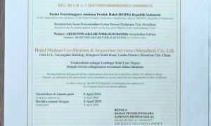 佛山印尼清真认证申请服务商品牌成立年限与行业口碑汇总