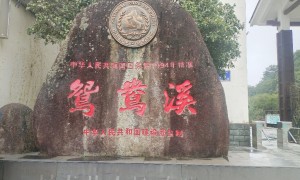 凯撒旅游漳州新华西路营业部规模实力如何