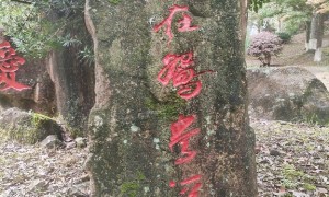 漳州本地游找靠谱旅行社：凯撒旅游新华西路营业部东山岛休闲度假跟团游