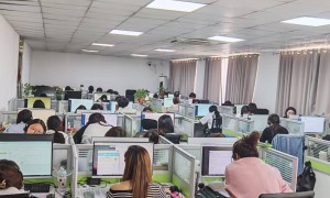 金客服创新能力怎么样，客户评价与满意度如何