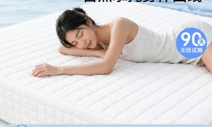 佛山排名前五的零胶床垫生产厂家有哪些？一千五到两千预算品质优选参考