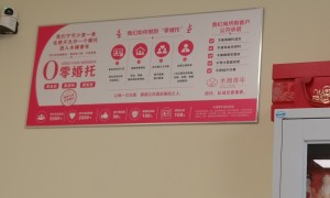 2026年实力强的婚介企业合作实力参考