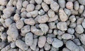成都陶粒回填卫生间沉箱专用轻质材料 现拌现送支持小批量采购