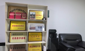 越南出口专线大件物流公司实力参考