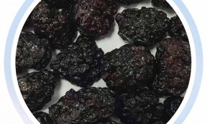 江苏口碑好的野生蔓越莓果干生产厂哪家原料好专业公司推荐