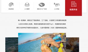 淡干海参对比即食海参哪个好？全国品牌价格行情汇总，避坑必看