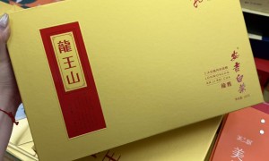 2026年安吉白茶购买全攻略：资质齐全的商家实力与用户口碑解析