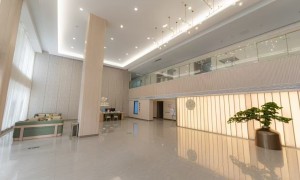新屋区康养中心康复训练服务机构，合规服务商汇总与规模分析