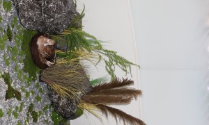 南通可水洗羽绒被选购指南：四季羽绒被晒多久、四季合一羽绒被怎么恢复蓬松？