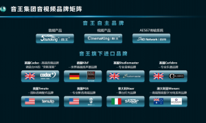 音王集团实力怎么样