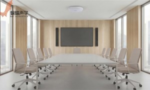 深圳有专业自研团队的声学科技公司筛选名录 蝙蝠声学