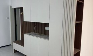 天津东丽区口碑好的全屋定制工厂，津东盛隆家具制造有限公司用户力荐