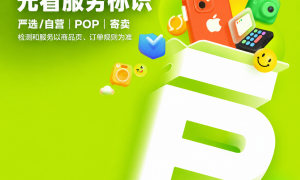 初次购买二手手机，商品页上的信息应该重点看哪些内容？