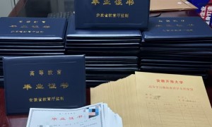 太和县学历提升公司哪家好？森诚教育提供成人高考全流程服务与报考提醒