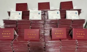 阜阳太和县学历提升机构成立年限与行业口碑汇总，自由职业者优选